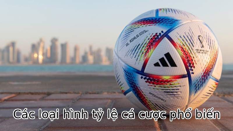 Các loại hình tỷ lệ cá cược phổ biến hiện nay