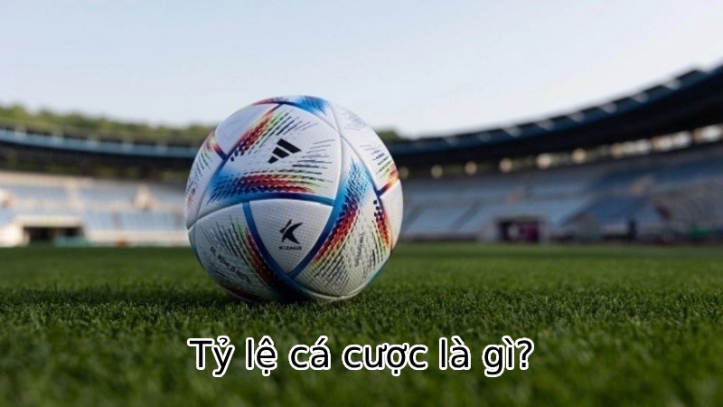 Tỷ lệ cá cược là gì?